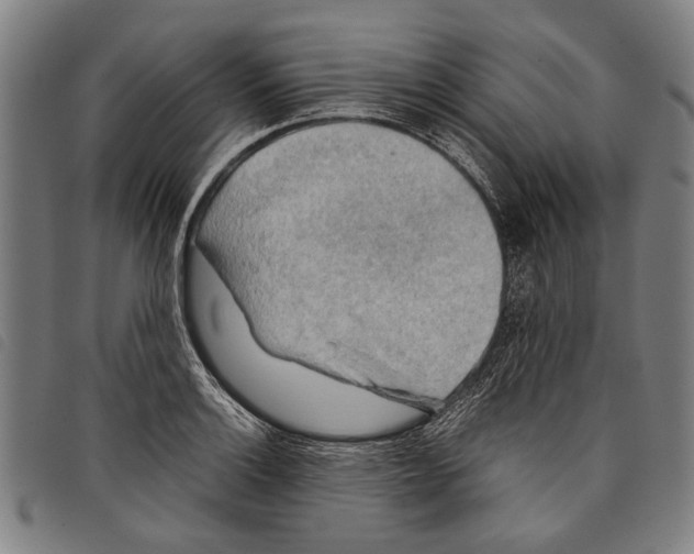 X0000097781132200804041208