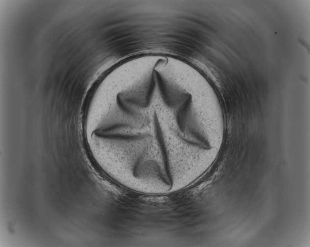 X0000097781133200804041208