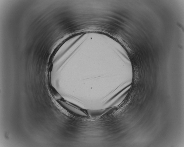 X0000097781134200804041208