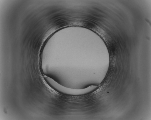 X0000097781135200804041208