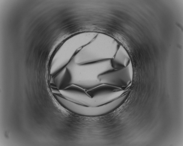 X0000097781136200804041208