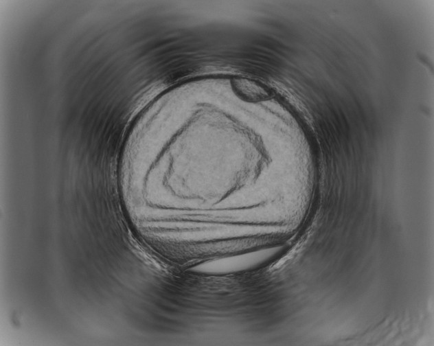 X0000097781137200804041208