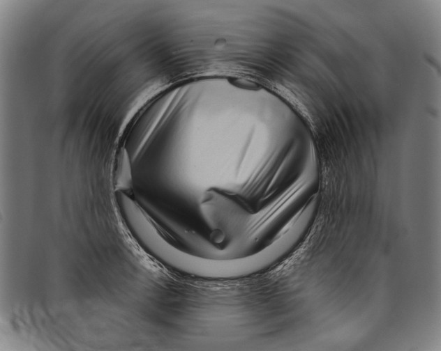 X0000097781138200804041208