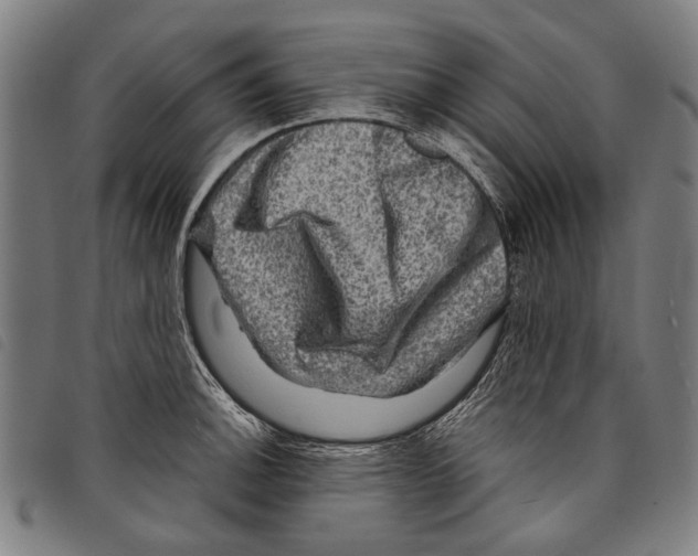 X0000097781140200804041208