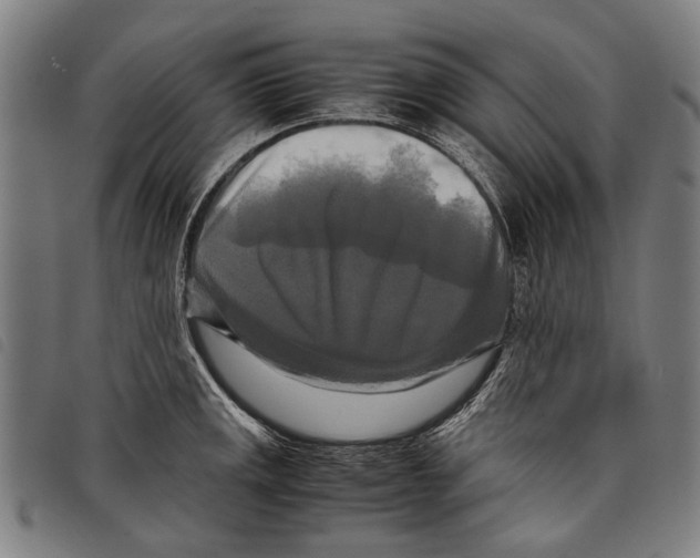 X0000097781141200804041208