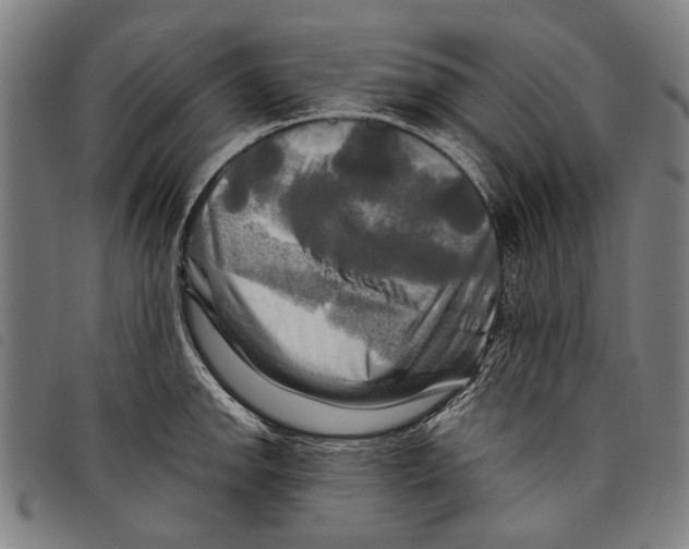 X0000097781142200804041208