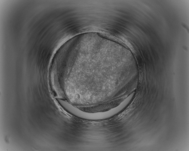 X0000097781144200804041208