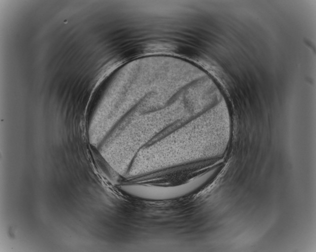 X0000097781145200804041208