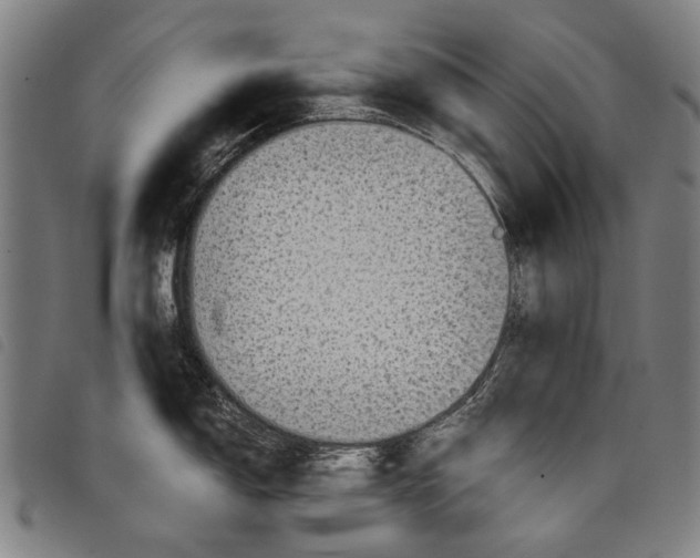 X0000097781150200804041208