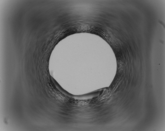 X0000097781153200804041208