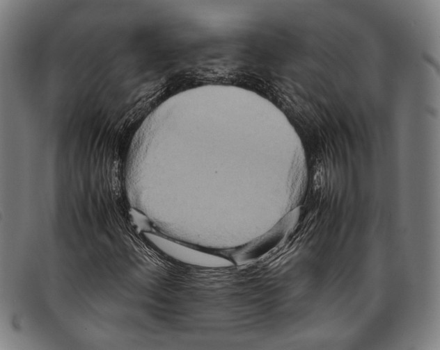 X0000097781156200804041208