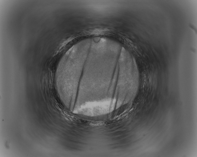 X0000097781158200804041208