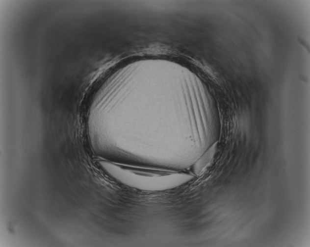 X0000097781160200804041208