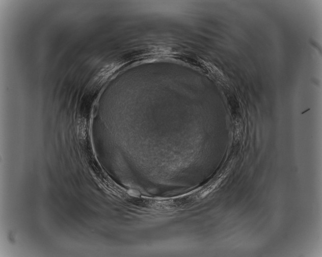 X0000097781161200804041208