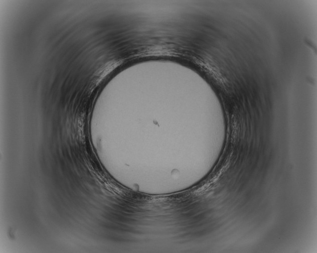 X0000097781162200804041208