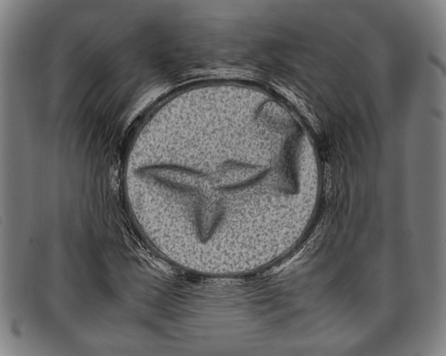 X0000097781163200804041208