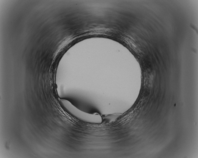 X0000097781164200804041208