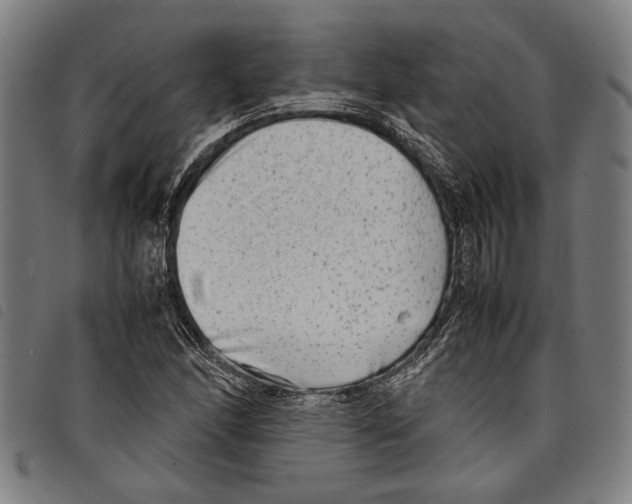 X0000097781166200804041208