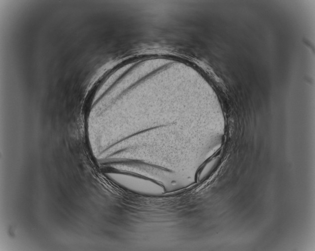 X0000097781167200804041208