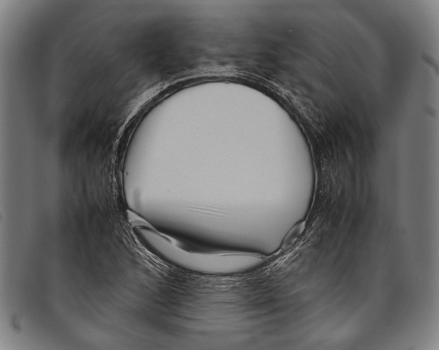 X0000097781168200804041208