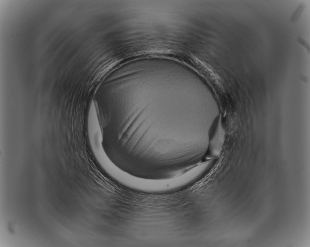 X0000097781169200804041208