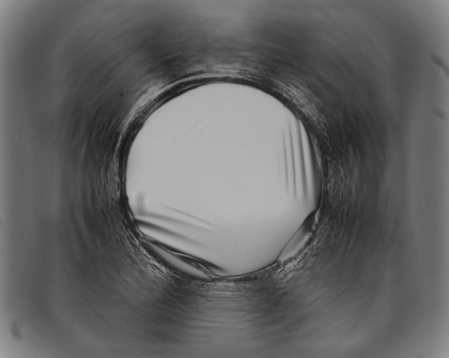 X0000097781172200804041208