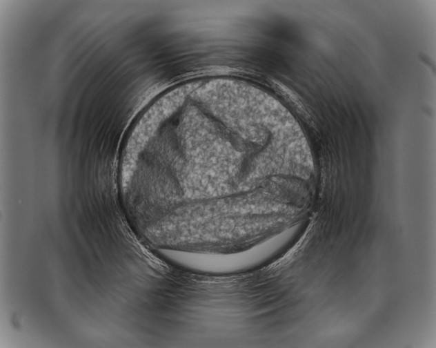 X0000097781178200804041207