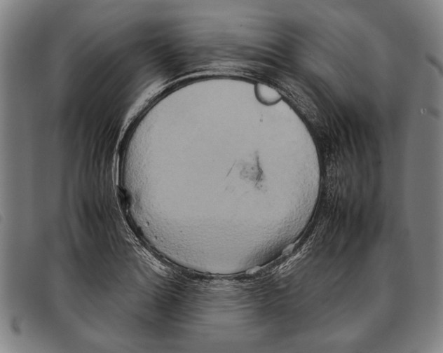 X0000097781180200804041207