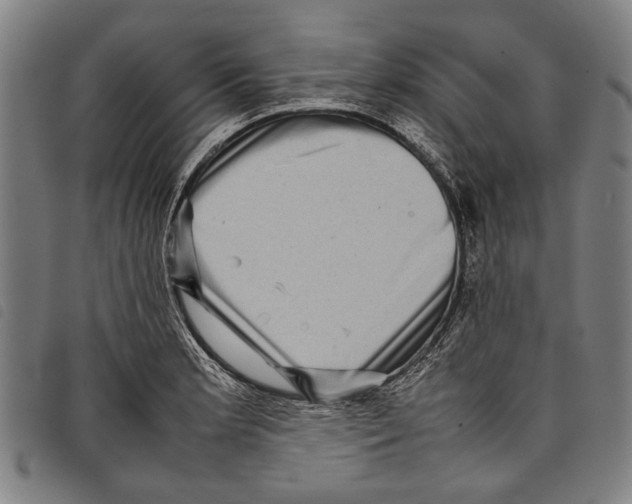 X0000097781181200804041207