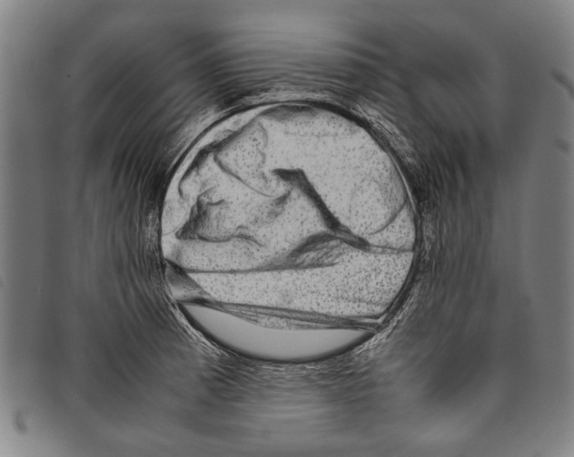 X0000097781185200804041207