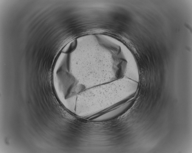 X0000097781186200804041207