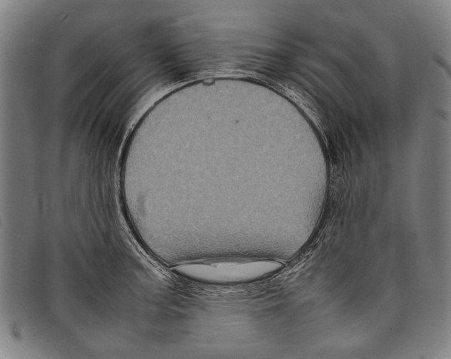 X0000097781187200804041207