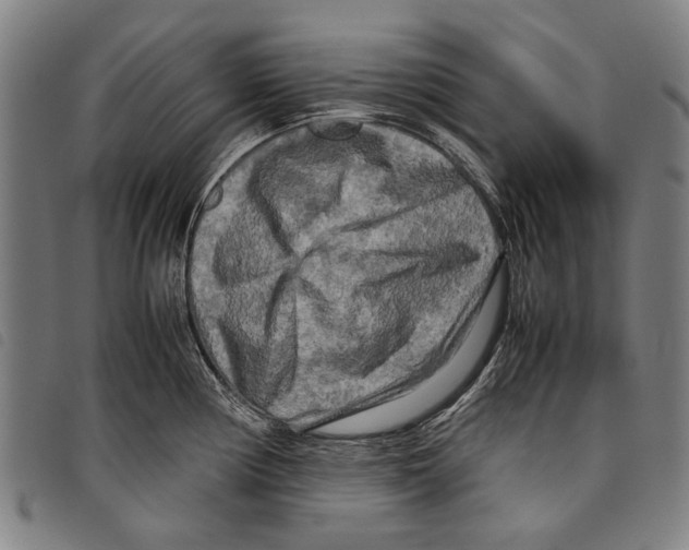 X0000097781194200804041207