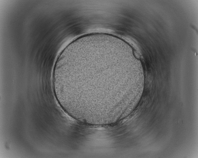 X0000097781199200804041207