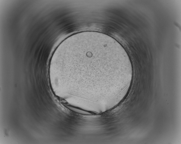 X0000097781200200804041207