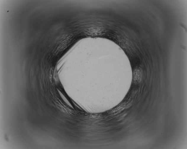 X0000097781202200804041206