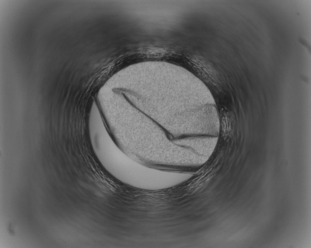 X0000097781204200804041206