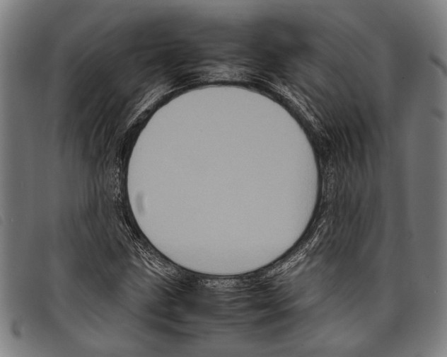 X0000097781211200804041207