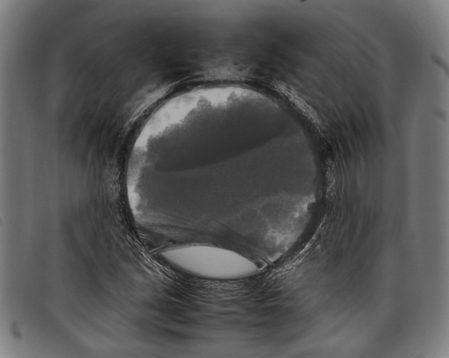 X0000097781213200804041207