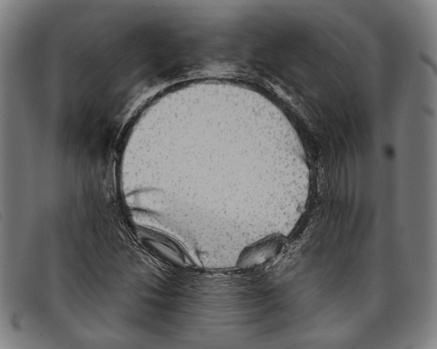 X0000097781214200804041207