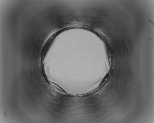 X0000097781216200804041207