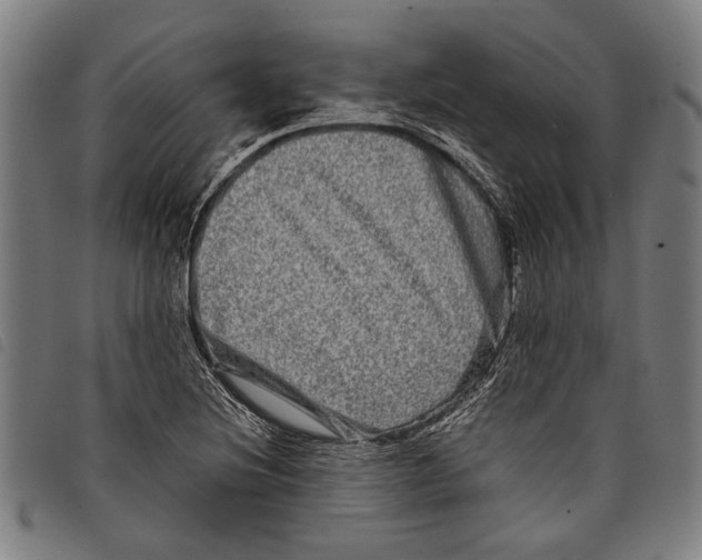 X0000097781220200804041207