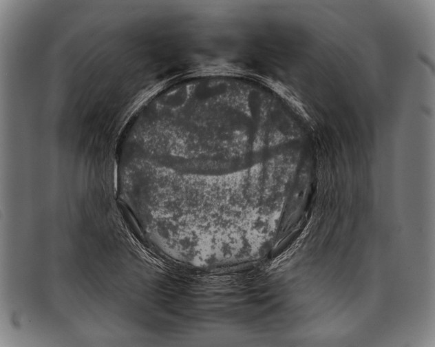 X0000097781221200804041207