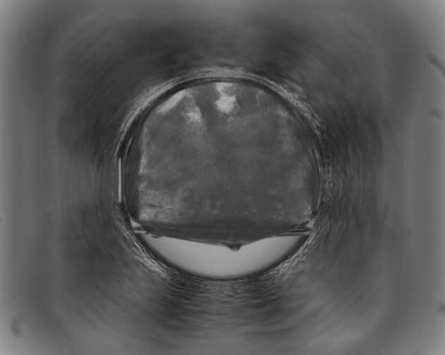 X0000097781223200804041207