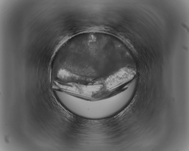 X0000097781224200804041207