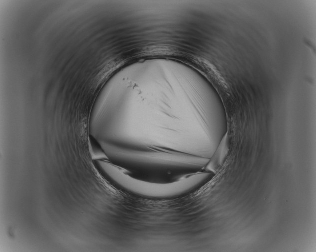 X0000097781225200804041207