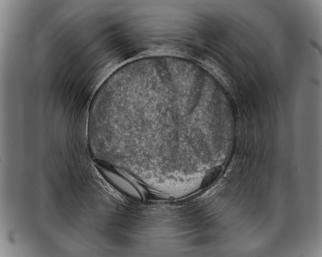 X0000097781228200804041207