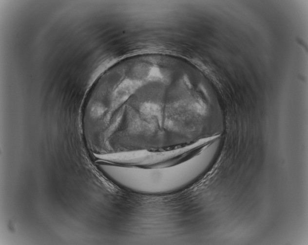 X0000097781230200804041207