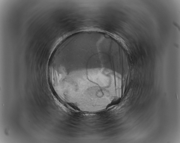 X0000097781231200804041207