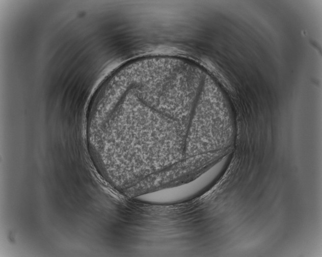 X0000097781232200804041207